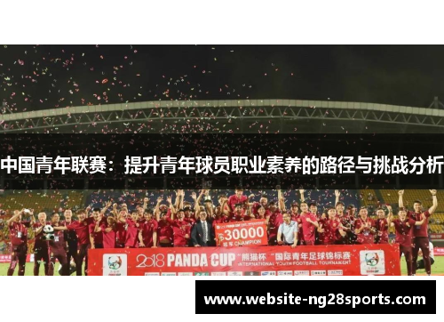 中国青年联赛：提升青年球员职业素养的路径与挑战分析