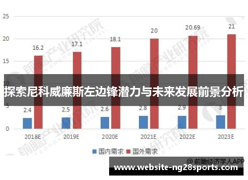 探索尼科威廉斯左边锋潜力与未来发展前景分析