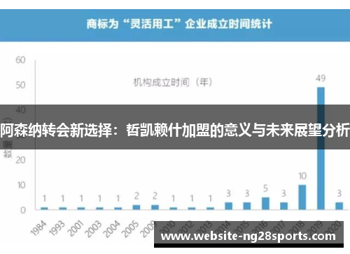 阿森纳转会新选择：哲凯赖什加盟的意义与未来展望分析