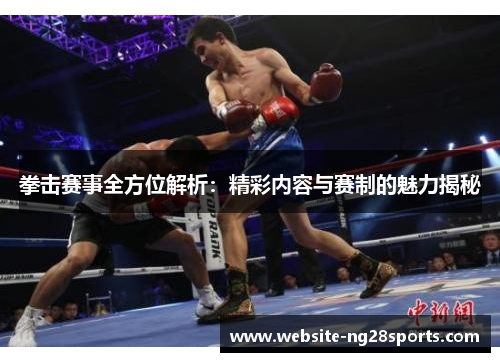 拳击赛事全方位解析：精彩内容与赛制的魅力揭秘