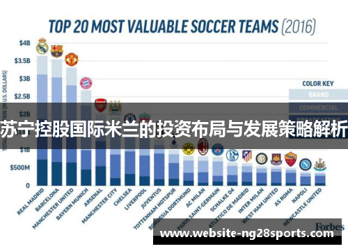苏宁控股国际米兰的投资布局与发展策略解析 苏宁控股国际米兰的投资布局与发展策略解析