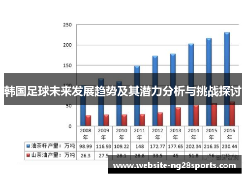 韩国足球未来发展趋势及其潜力分析与挑战探讨