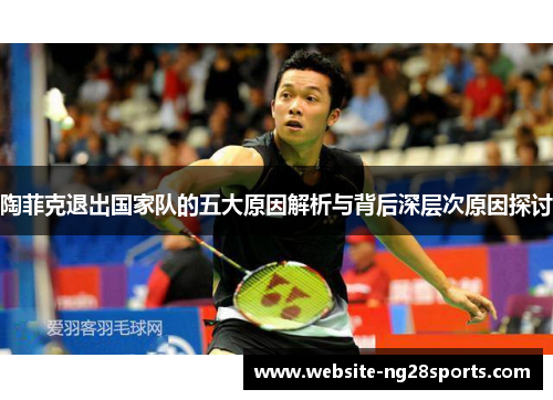 陶菲克退出国家队的五大原因解析与背后深层次原因探讨