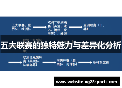 五大联赛的独特魅力与差异化分析