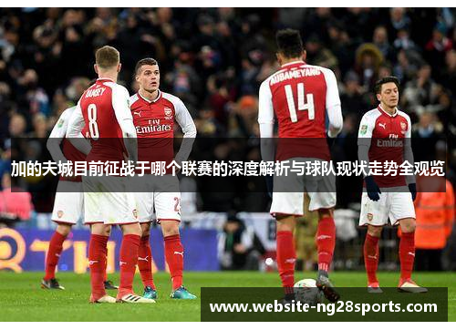 加的夫城目前征战于哪个联赛的深度解析与球队现状走势全观览 加的夫城目前征战于哪个联赛的深度解析与球队现状走势全观览