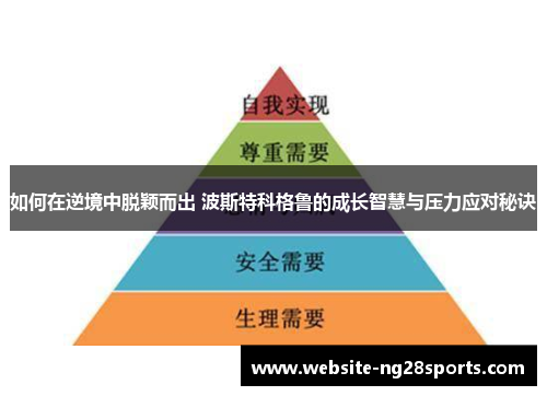如何在逆境中脱颖而出 波斯特科格鲁的成长智慧与压力应对秘诀 如何在逆境中脱颖而出 波斯特科格鲁的成长智慧与压力应对秘诀