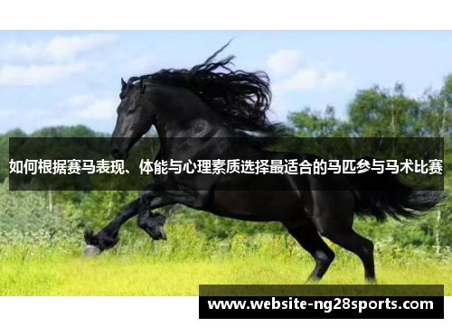 如何根据赛马表现、体能与心理素质选择最适合的马匹参与马术比赛