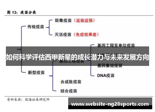 如何科学评估西甲新星的成长潜力与未来发展方向